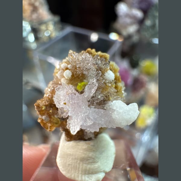 Tiny Pink-Purple Creedite Flower 1.6 cm — alternate view