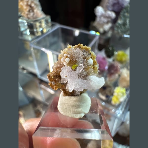 Tiny Pink-Purple Creedite Flower 1.6 cm — detail view