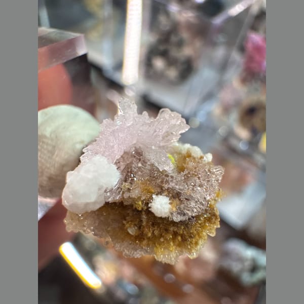 Tiny Pink-Purple Creedite Flower 1.6 cm — detail view