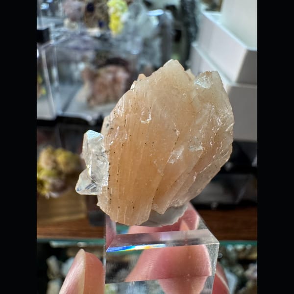 Small Apophyllite with Zeolite India 3.0 cm — complete view