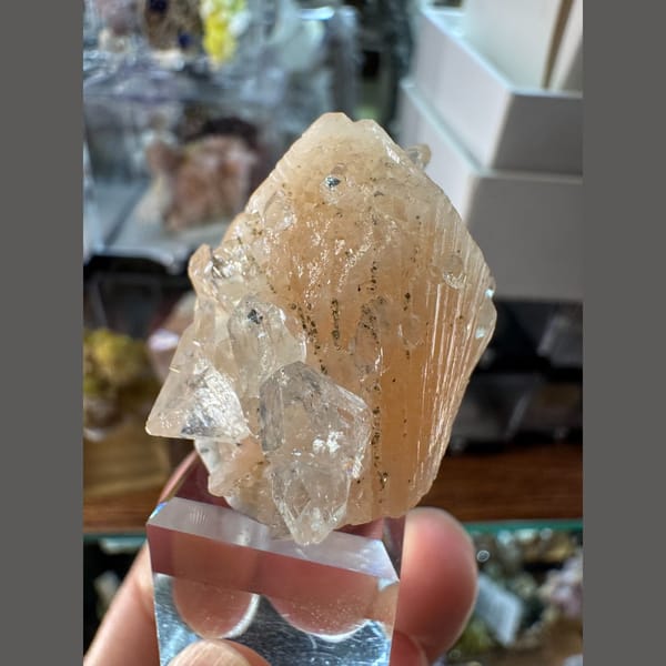 Small Apophyllite with Zeolite India 3.0 cm — alternate view