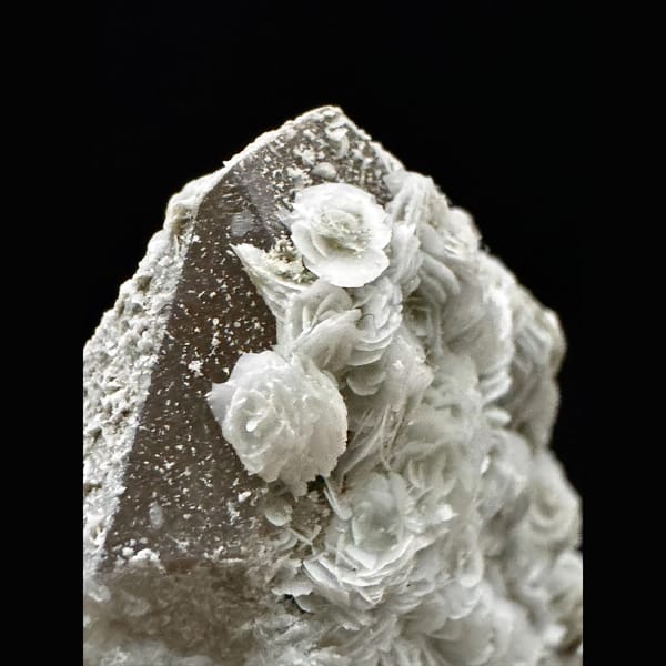 Chlorite quartz with petal calcite from Inner Mongolia — detail view
