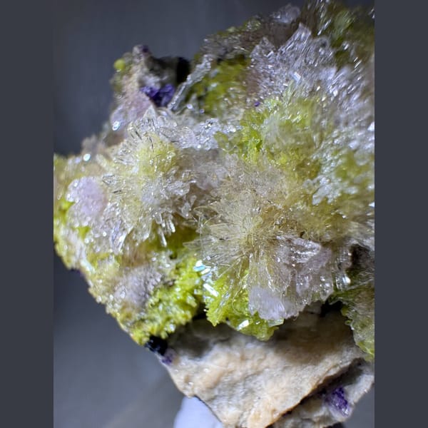 Yellow-Green and Purple Creedite with Carlhintzeite 5.5 cm — alternate view