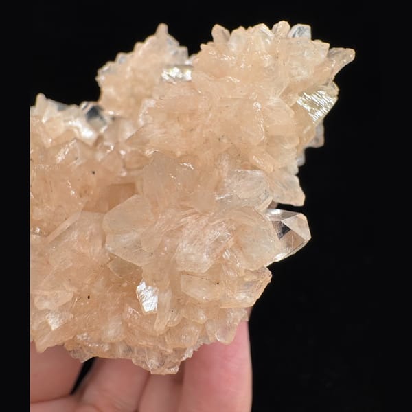 Cream Calcite Flower Cluster 7.0 cm — detail view