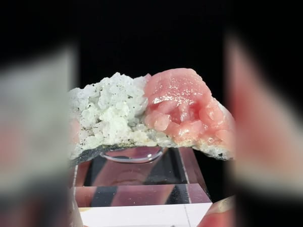 Rhodochrosite Petal Cluster with Pyrite and Quartz, Mineral Specimen — alternate view