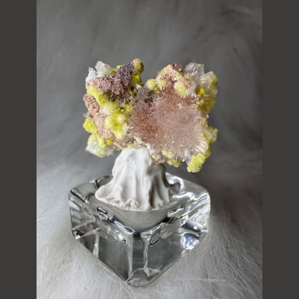 Tiny Yellow-White Creedite Flower 2.0 cm — detail view
