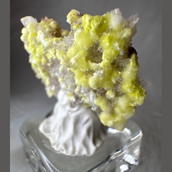 Tiny Yellow-White Creedite Flower 2.0 cm — detail view