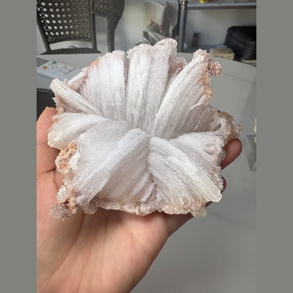 White ram's horn gypsum floater — alternate view
