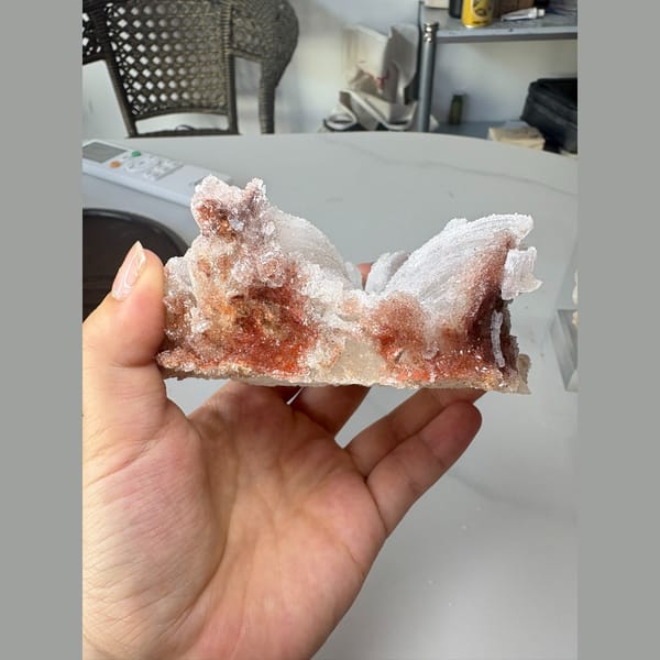 White ram's horn gypsum floater — alternate view