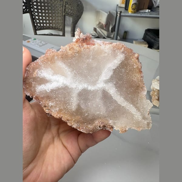 White ram's horn gypsum floater — detail view