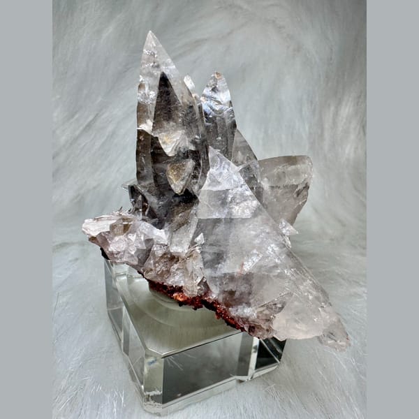 Swallowtail Calcite Cluster 5.5 cm — complete view