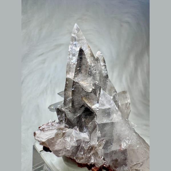 Swallowtail Calcite Cluster 5.5 cm — alternate view