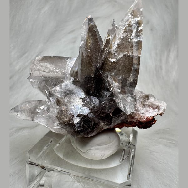 Swallowtail Calcite Cluster 5.5 cm — detail view