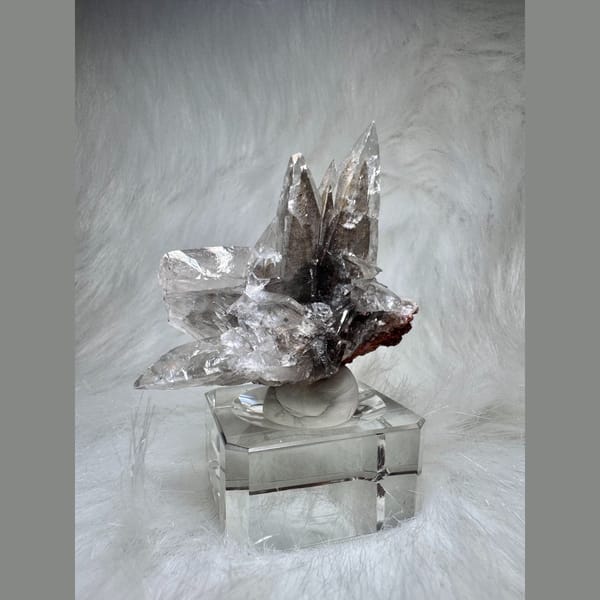Swallowtail Calcite Cluster 5.5 cm — detail view