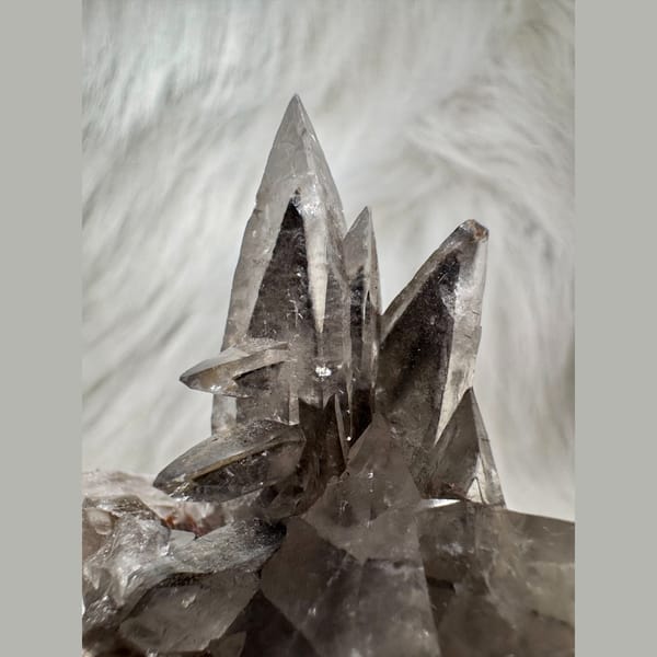 Swallowtail Calcite Cluster 5.5 cm — detail view