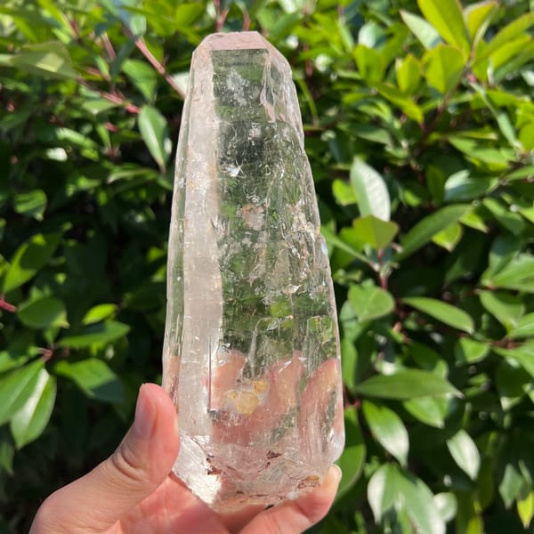 Tall near-clean clear Himalayan quartz crystal — complete view
