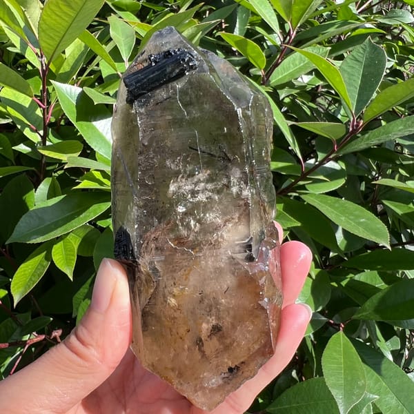 Double-terminated smoky quartz with black tourmaline inclusions — complete view