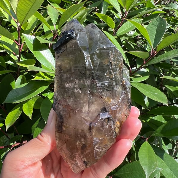 Double-terminated smoky quartz with black tourmaline inclusions — alternate view