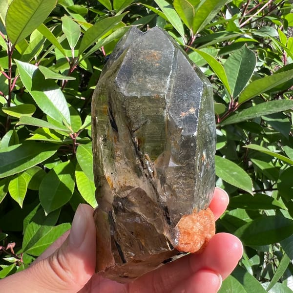 Double-terminated smoky quartz with black tourmaline inclusions — alternate view