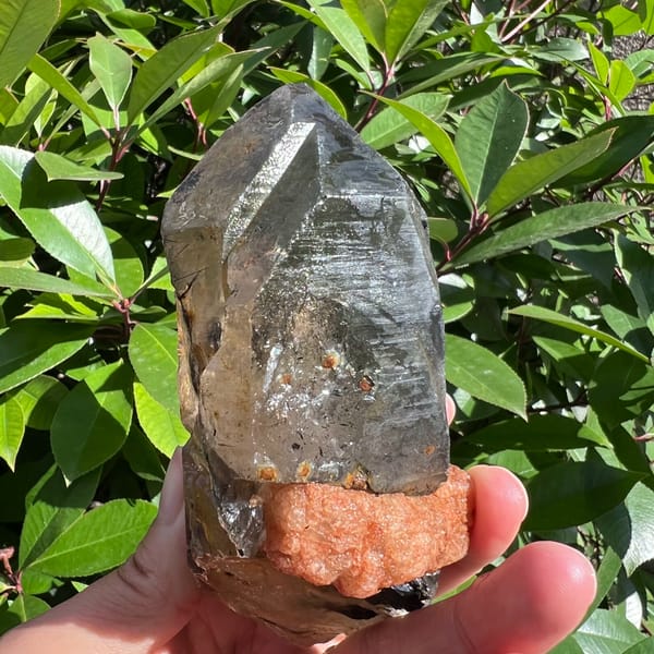 Double-terminated smoky quartz with black tourmaline inclusions — detail view