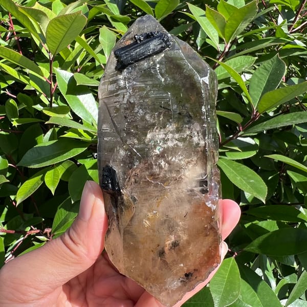 Double-terminated smoky quartz with black tourmaline inclusions — detail view