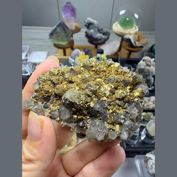 Golden lustrous pyrite with quartz — complete view