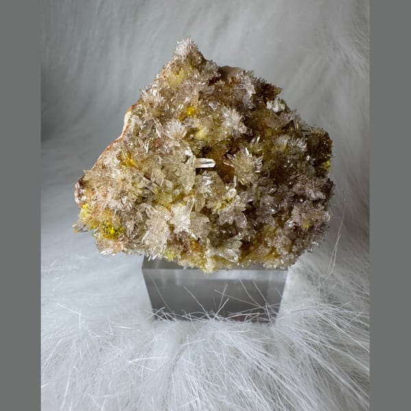 Clear-Yellow Creedite with Carlhintzeite 3.5 cm — complete view