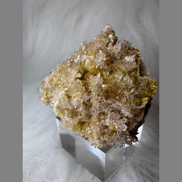 Clear-Yellow Creedite with Carlhintzeite 3.5 cm — alternate view