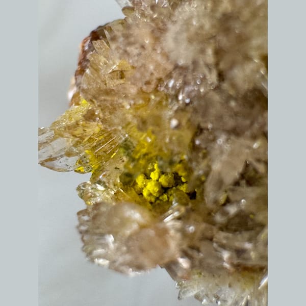 Clear-Yellow Creedite with Carlhintzeite 3.5 cm — detail view
