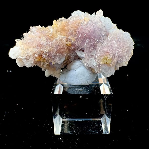 Purple Creedite Flower with Yellow-White Inclusions 4.5 cm — complete view
