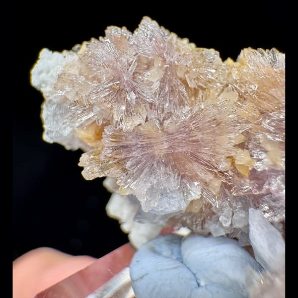 Purple Creedite Flower with Yellow-White Inclusions 4.5 cm — alternate view