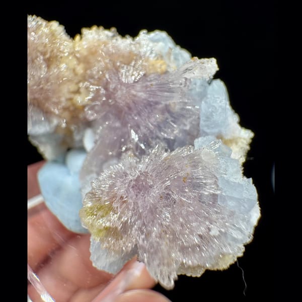 Purple Creedite Flower with Yellow-White Inclusions 4.5 cm — detail view