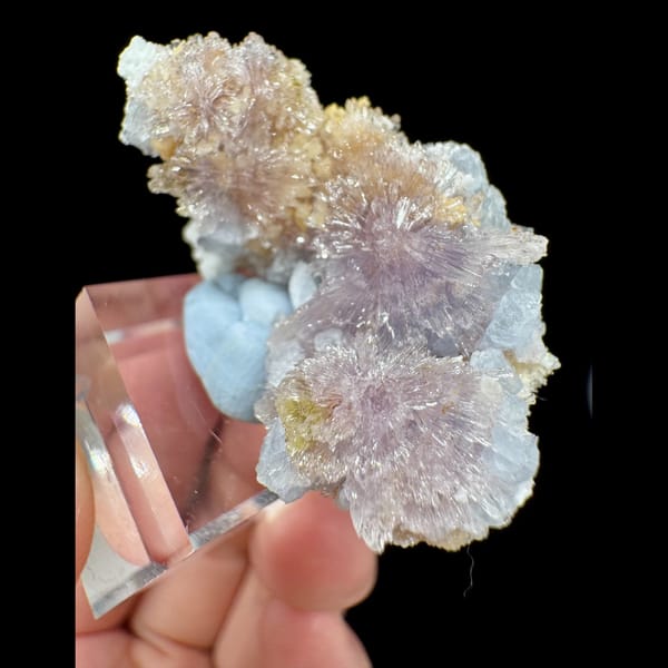 Purple Creedite Flower with Yellow-White Inclusions 4.5 cm — detail view