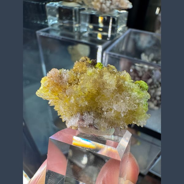 Yellow-Green Creedite with Carlhintzeite 3.0 cm — complete view