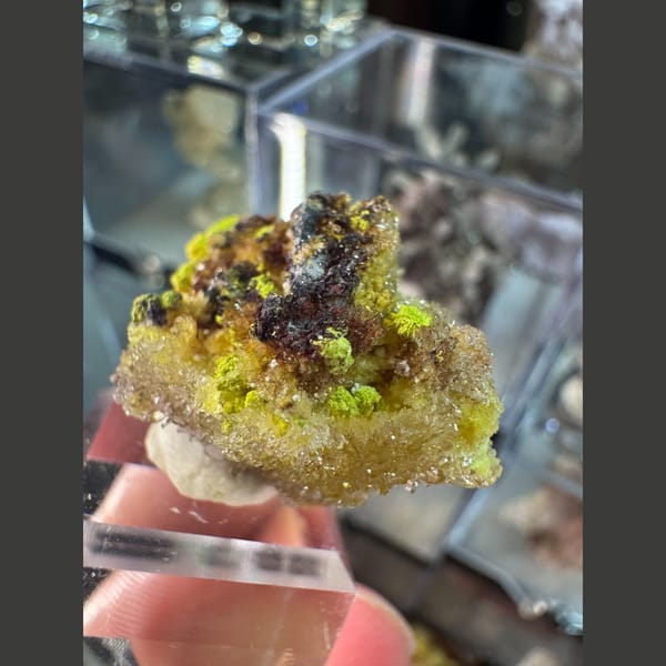 Yellow-Green Creedite with Carlhintzeite 3.0 cm — detail view