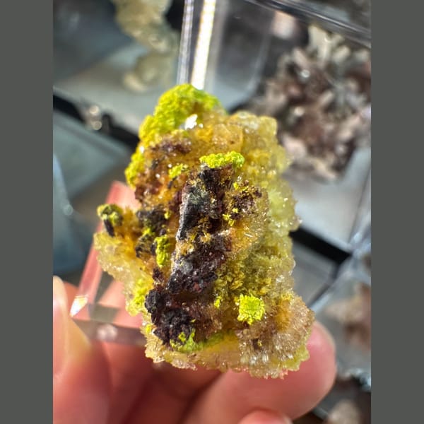 Yellow-Green Creedite with Carlhintzeite 3.0 cm — detail view