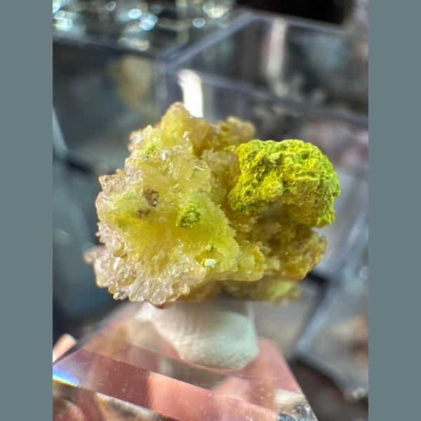 Yellow-Green Creedite with Carlhintzeite 3.0 cm — detail view
