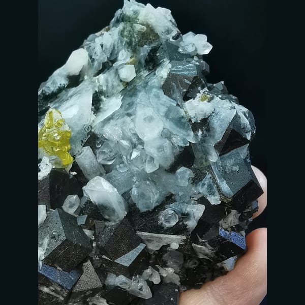 Black garnet with gemmy yellow sphalerite and quartz — detail view