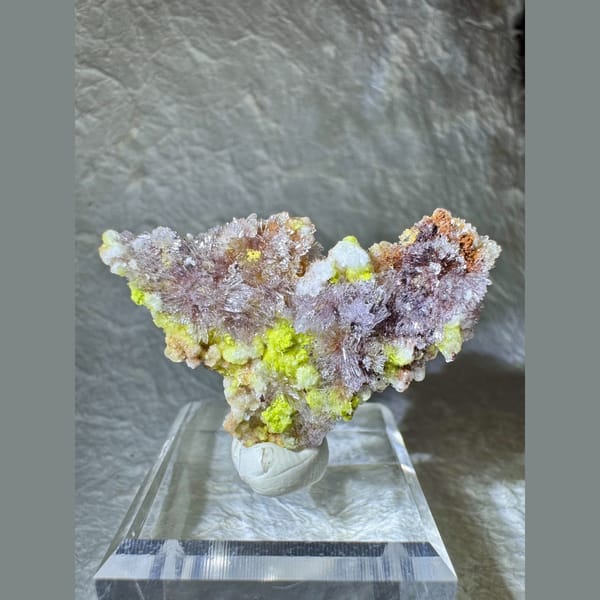 Creedite with Carlhintzeite, Purple and Yellow 3.5 cm — detail view