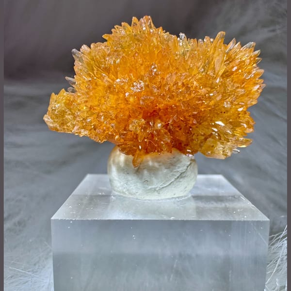 Orange Creedite Flower 2.5 cm — complete view