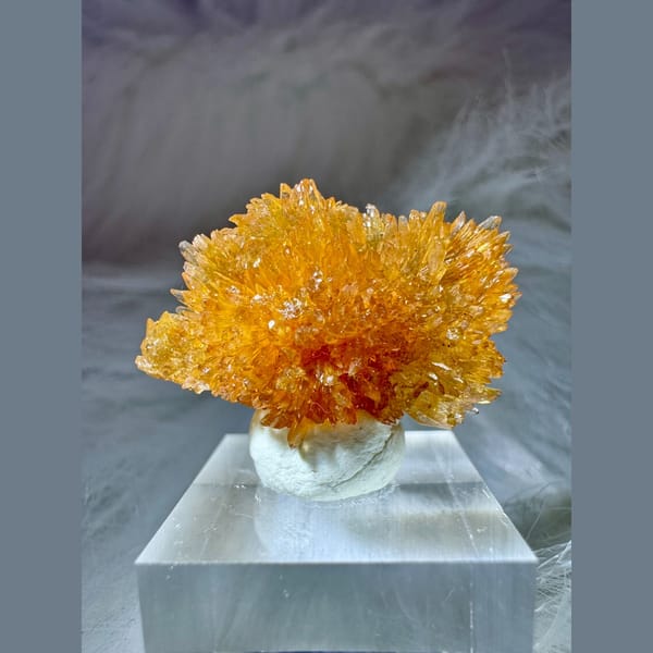 Orange Creedite Flower 2.5 cm — alternate view