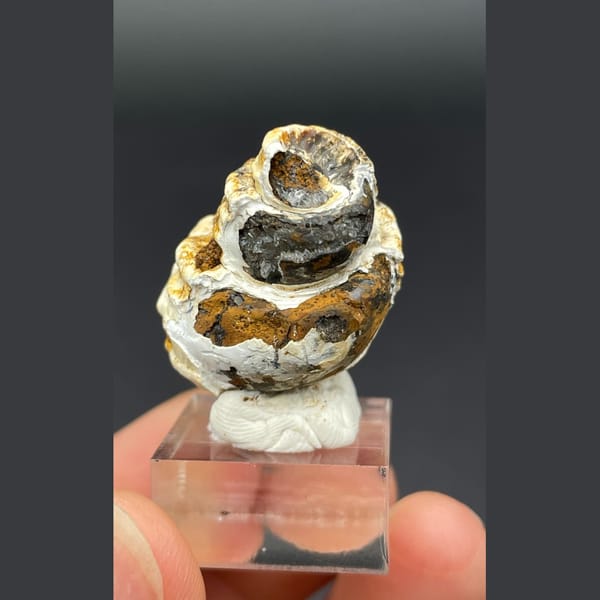 Spiral calcite from Kunming — alternate view