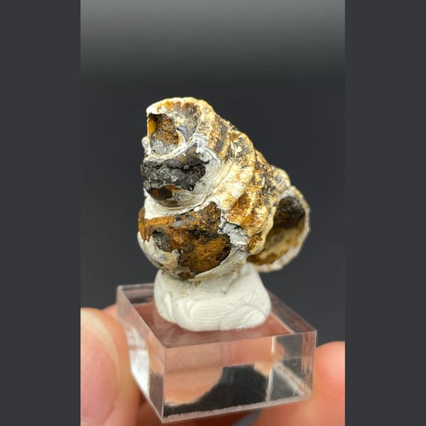 Spiral calcite from Kunming — detail view