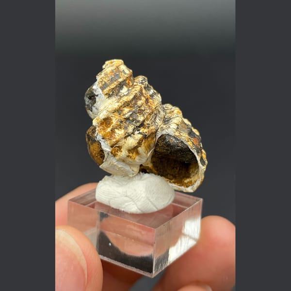Spiral calcite from Kunming — detail view