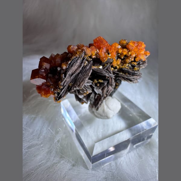 Orange-Red Vanadinite on Matrix Morocco 4.6 cm — detail view