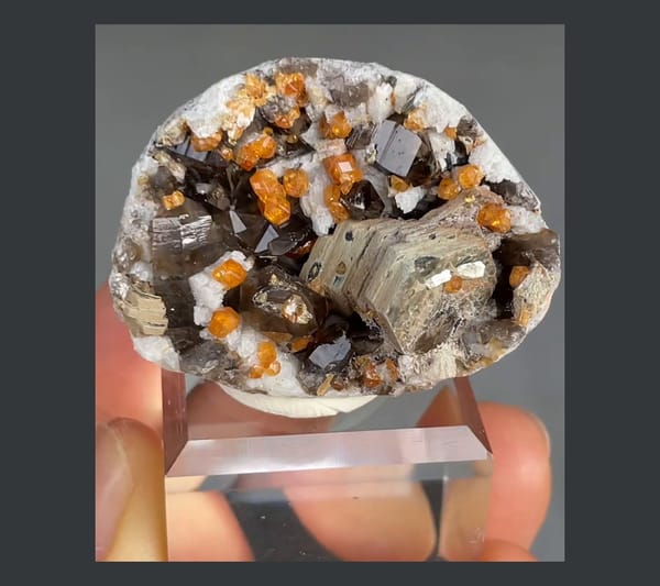 Complete front view of orange spessartine, smoky quartz and chlorite mica from Tongbei Fujian