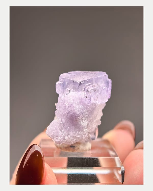 Front view of translucent purple fluorite crystal