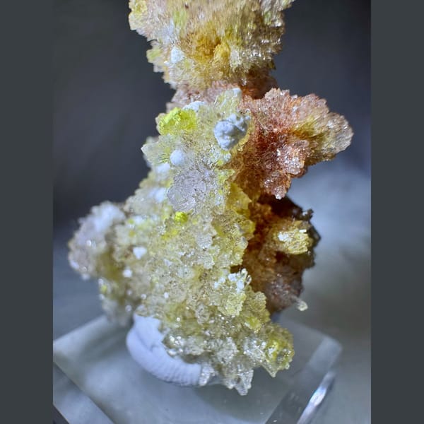 Yellow Creedite with Carlhintzeite 5.0 cm — detail view
