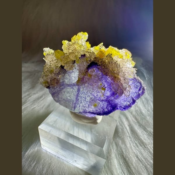 Yellow Creedite and Carlhintzeite on Purple Fluorite 4.5 cm — complete view