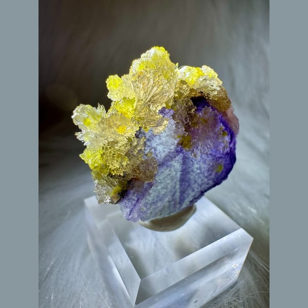 Yellow Creedite and Carlhintzeite on Purple Fluorite 4.5 cm — alternate view